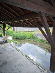 IMG_20260501_113928